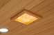 Інфрачервона сауна INFRASAUNA DeLUXE 2222 Carbon-BT